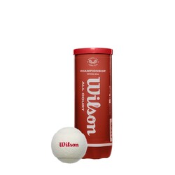 Wilson - Wilson Tenis Topu Championship Legacy 3 BALL CAN White WR8218401001