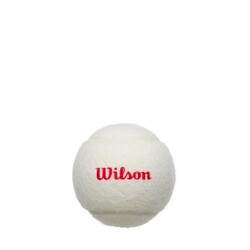 Wilson Tenis Topu Championship Legacy 3 BALL CAN White WR8218401001 - Thumbnail