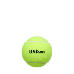 Wilson Championship Legacy 3'lü Tenis Topu Yellow - WR8218402001 - Thumbnail