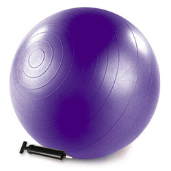 Stott Pilates - Merrithew Health & Fitness Barrel Denge Topu Pompalı 75cm (ST-06049) Mor