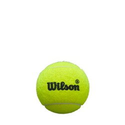 Wilson Premier Padel Topu Speed 3'lü Kutu Yellow WR8908501001 - Thumbnail