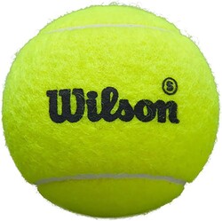 Wilson Premier Padel Speed 3Ball CAN BI PACK Y WR8909601001 - Thumbnail