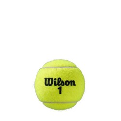 Wilson Tenis Topu Roland Garros Clay Ct 3 Ball Wrt125000 - Thumbnail